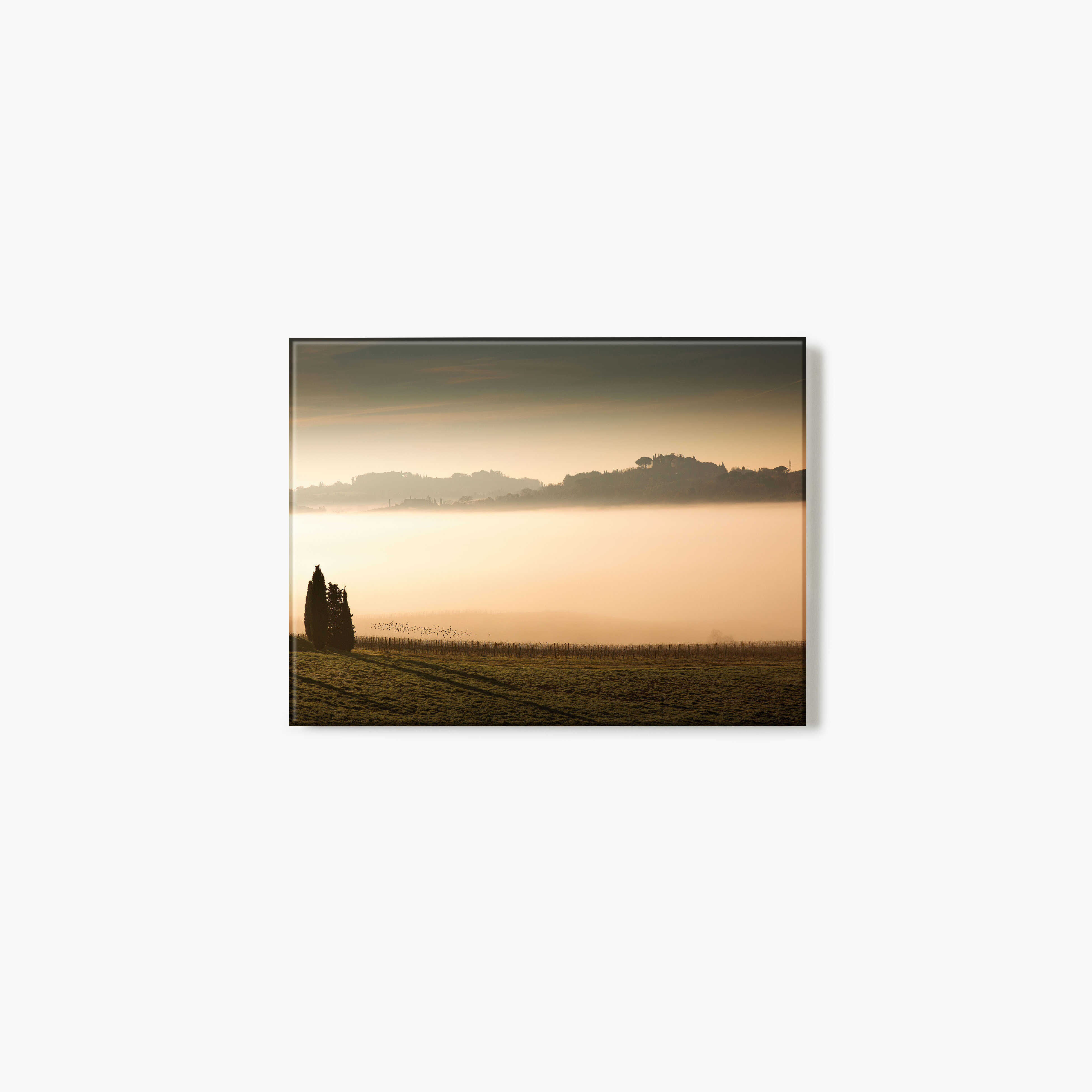 Glass Print of a photograph of a sunset over a vineyard with a silhouette of a tree.